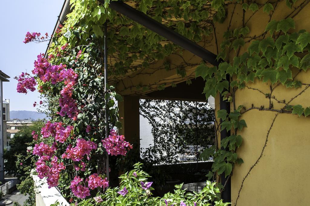 B&B Tribunale Κοσέντζα Εξωτερικό φωτογραφία